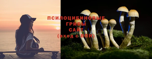 а пвп мука Козловка