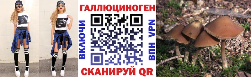 Псилоцибиновые грибы Cubensis  мега ССЫЛКА  Пушкино 