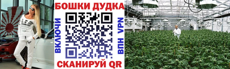 Каннабис OG Kush Пушкино